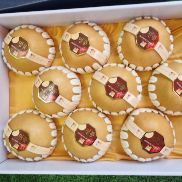 배(7.5~8kg, 9~10수)